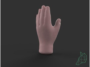 woman's hand gadgets 3d model modeling printing additive mfg gadget puppet woman 3d print model - Mito3D