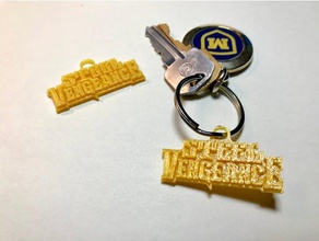 steel vengeance tag signs & logos cedar point keychain logo plate roller coaster 3d print model - Mito3D