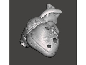 bıçaklanarak kalbi kalem tutucu 6 1 sharpie+ tarama ve kopyaları kalp 3d print model - Mito3D