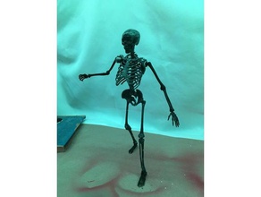 posable esqueleto - mr bones remix art 3d print model - Mito3D