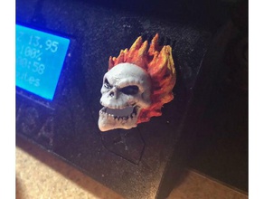 prusa i3 - selector super héroe ghost rider Impresora 3d de las piezas marcado flaming skull johnny blaze perilla el cráneo 3d print model - Mito3D