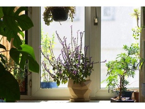 poly pot outdoor & garden flower low planter plant 3d print model - Mito3D