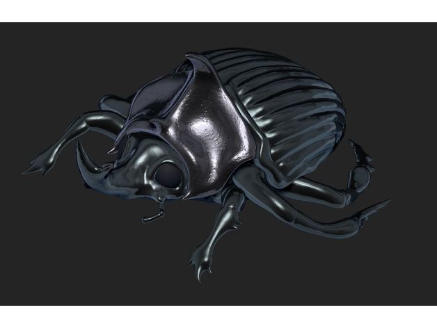 beetle animals bug insect resin uv 3D print model - Mito3D
