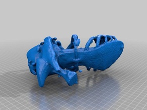 capezio scarpa scansioni & repliche makerbotdigitizer la scansione 3d print model - Mito3D