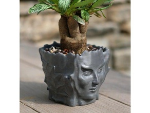faccia pentola all'aperto e giardino vaso di fiori fioriera piantare in pot 3d print model - Mito3D