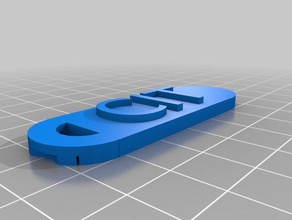 cit le nom de la balise porte-clés personnalisé 3d print model - Mito3D