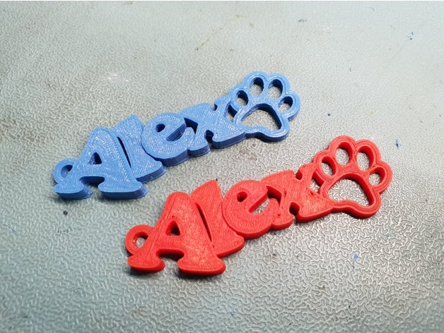 alex dog keychain keychains footprint footstep 3D print model - Mito3D