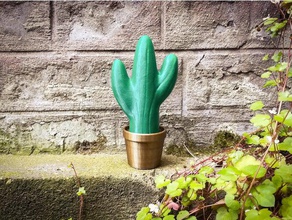 cactus planteur décor plante en pot la végétation 3d print model - Mito3D