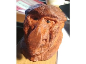 nosacz sculptures animal monkey onion poland sculpture 3d print model - Mito3D