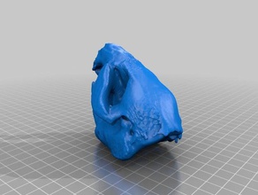 juv beaver - 1132 scans & replicas makerbotdigitizer scan 3d print model - Mito3D