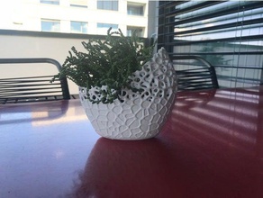 voronoi vazo açık ve bahçe 3d print model - Mito3D