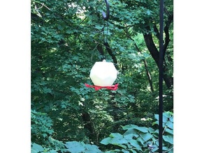 dodecahedron hummingbird feeder outdoor & garden 3d print model - Mito3D