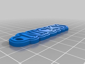 özelleştirilmiş çok satırlı etiket Anahtarlık yeşil gri benim sikke ve rozetleri 3d print model - Mito3D