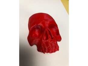 skull face biology bone bones cosplay accessory costume decoration human skulls 3d print model - Mito3D
