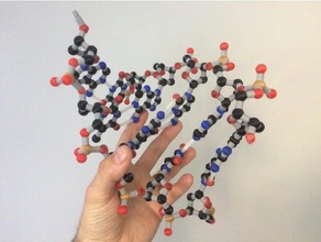 tam renkli dna yapı seti biyoloji TEB mozaik paleti çok 3d print model - Mito3D