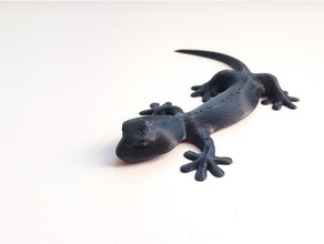 gecko deskpal easy print animals 3d print model - Mito3D