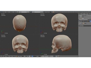 awesome skull 3d-drucken Skulpturen 3d print model - Mito3D