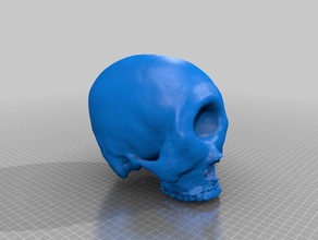 cyclope crâne sculptures figure le 3d print model - Mito3D