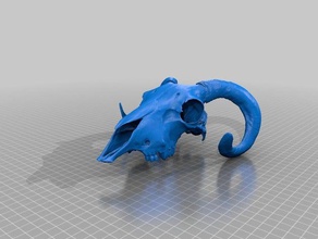 goat head bone sculptures 3d print model - Mito3D