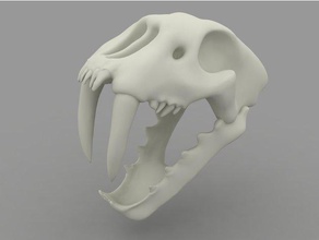 saber tooth tiger skull sculptures 3d printing obj 3d print model - Mito3D