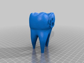 barden dente w b La stampa 3d 3d print model - Mito3D