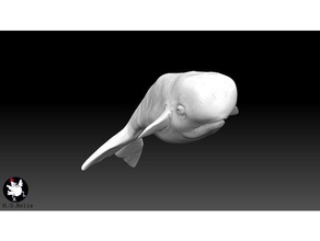 la ballena a los animales 3d print model - Mito3D