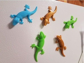 gecko imán los animales 3d print model - Mito3D