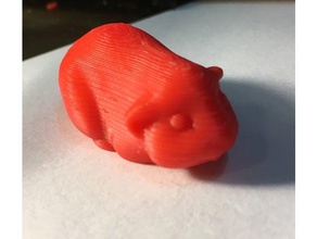cochon de guinée v2 animaux cavy maison poupées animal compagnie les 3d print model - Mito3D
