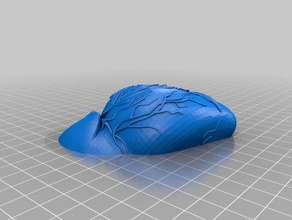 insan kalbini parçalar fizik Astronomi 3d print model - Mito3D
