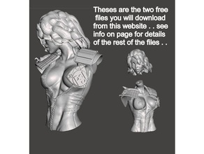 hemos ley - juez anderson torso libre modelo 5 &ndash 3d impresión 3d print model - Mito3D