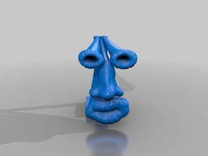 testa sculture 3d print model - Mito3D