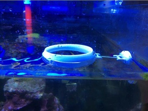 acquario anello di cibo gli animali domestici nutrire i pesci 3d print model - Mito3D