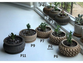 succulente fioriera 11 famiglia confine greco meandro piante 3d print model - Mito3D