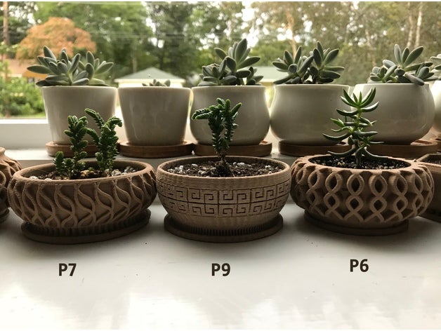 succulent planter 7 household 3D print model - Mito3D
