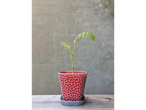 fiore vaso senza coppa all'aperto giardino 3d di voronoi giardinaggio fioriere fioriera design stile 3d print model - Mito3D