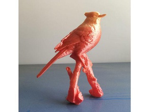 kuş hayvanlar 3d print model - Mito3D