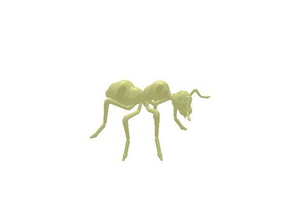 ant curv animals 3d print model - Mito3D