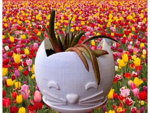 personalizável gato de navio decoração plantio pote recipiente um vaso planta suculenta 3d print model - Mito3D