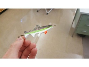 custom fishing lures biology 3d print model - Mito3D