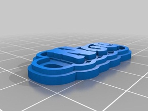 flex noe llaveros personalizado 3d print model - Mito3D