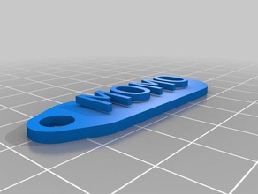 özelleştirilmiş Anahtarlık etiketi benim organizasyon 3d print model - Mito3D