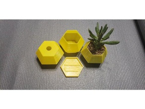 vase hexagon-Modus Pflanzer Basis Haushalt pflanze Topf Sukkulenten 3d print model - Mito3D