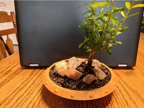 tambor pote bandeja de recolha água ao ar livre jardim bonsai plantio o mame shohin 3d print model - Mito3D