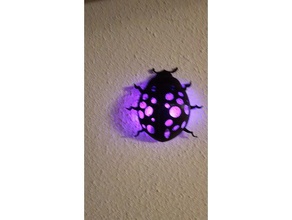 coccinelle decor insect led 3d print model - Mito3D