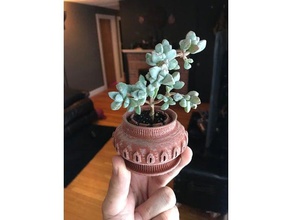 p15 vented drained succulent planter household 3d print model - Mito3D