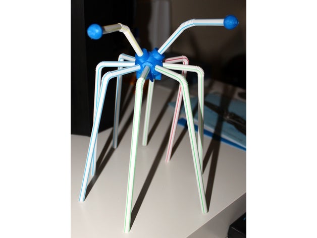 paglia spider animali 3D print model - Mito3D