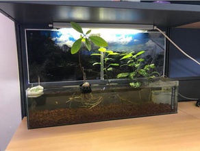 aquarium-filter-box Haustiere Fisch fish tank filter 3d print model - Mito3D