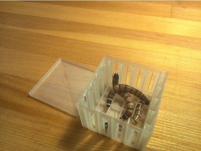 paramétrico insectsbox mascotas 3d print model - Mito3D