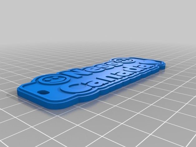 ness-ok las monedas insignias personalizado 3D print model - Mito3D