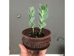 p17 vented drained succulent planter household 3d print model - Mito3D